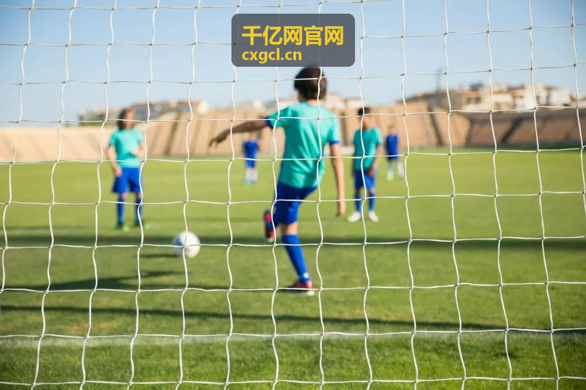 千亿网官网投资尽职调查